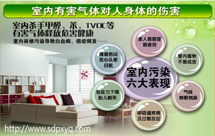 室内空气污染是否超标 热解吸-气相色谱仪为你检测把关