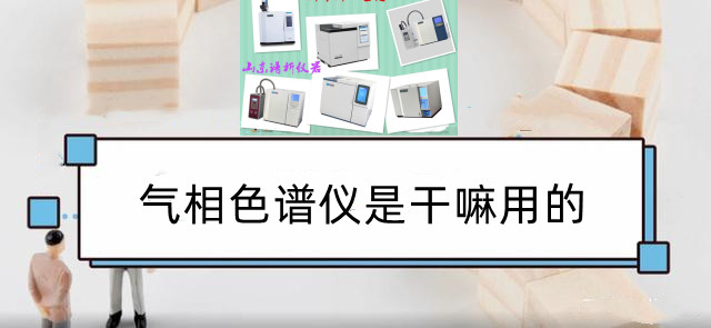 气相色谱仪是干嘛用的